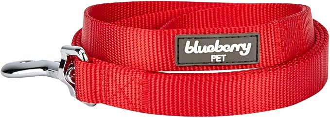Blueberry Pet Essentials Rouge Red Dog Leash for Small -5' * 5/8" Dogs | Heavy Duty Nylon Lead | Lightweight Puppy & Cat Leash for Walking & Training