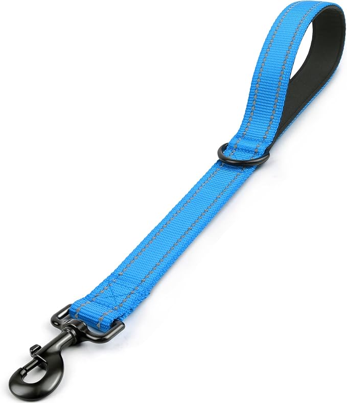 Joytale Short Dog Leash for Close Control & Training, 18", Aqua Blue | Padded Comfort Handle, Reinforced Nylon Webbing, Secure Metal Clip, for Busy Streets & Heel Training