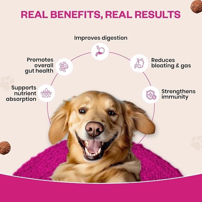 Probiotic Soft Chews Supplement for Dogs | Six Probiotic Strains for Gut Health & Digestion | Chicken Flavor | Supports Immune Function | 60 Soft Chews