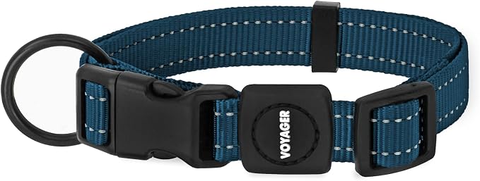 Best Pet Supplies Voyager Reflective Dog Leash or Collar with Neoprene Handle, for Small, Medium, and Large Breed Puppies, Cute and Heavy Duty for Walking, Running and Training - Blue, S
