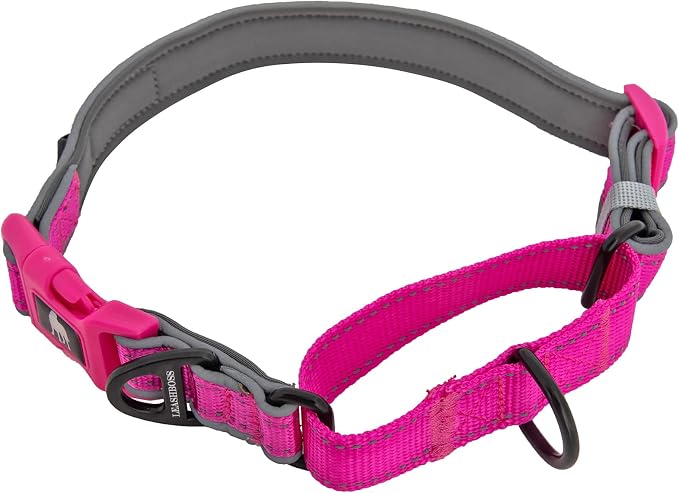 Leash Boss Martingale Collar for Dogs | Reflective Nylon Dog Collar for Large Dogs, Medium and Small Dogs | No Pull Pet Training Collar | Quick Release Buckle, Adjustable Pet Collar