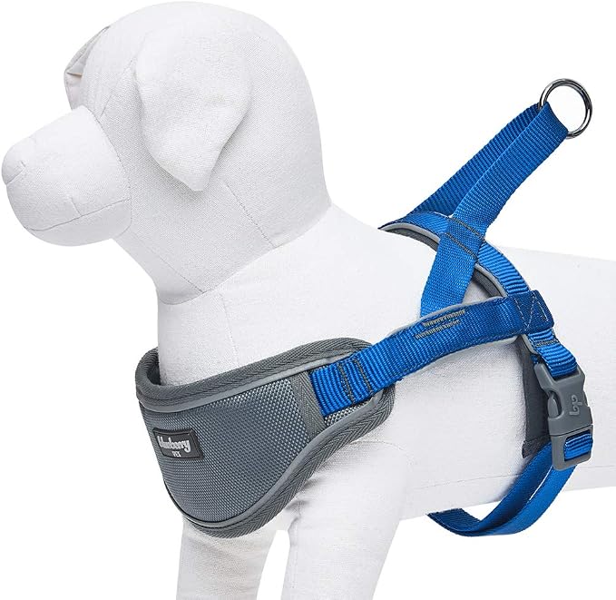 Blueberry Pet Dog Harness Medium Sized Dog - Reflective Dog Vest with 3M Strips, Neoprene Padded, Easy Control for Large Dogs, Small Dog Harness, Adjustable Navy Training Vest, 20.5-26" Girth