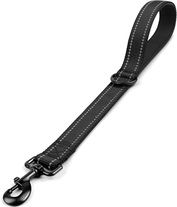 Joytale Short Dog Leash for Close Control & Training, 18", Black | Padded Comfort Handle, Reinforced Nylon Webbing, Secure Metal Clip, for Busy Streets & Heel Training