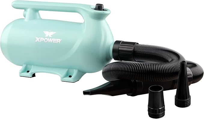 XPOWER B-163 High Velocity Pet Dryer (Mint Green)