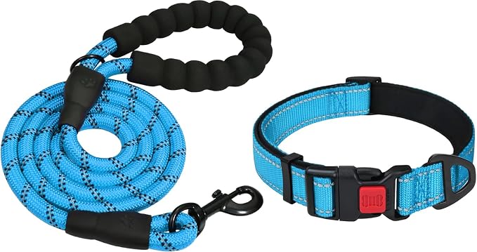 Taglory 18"-28" Length, 1 1/4" Wide Dog Collar and Leash Set, 1/2" x 6 FT Highly Reflective Threads Dog Leash for Large Dogs,SkyBlue