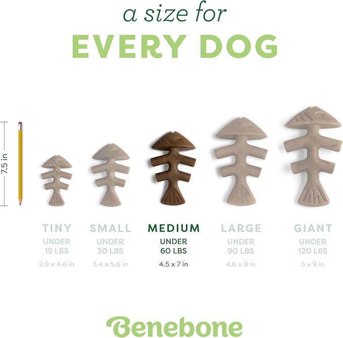 Benebone Fishbone Durable Dog Chew Toy for Aggressive Chewers, Real Fish, Made in USA, Medium