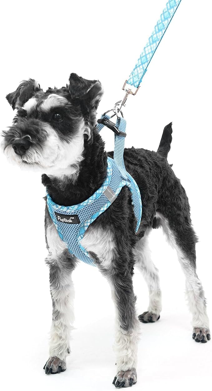 PUPTECK Dog Harness and Leash Set for Small Medium Dogs No Pull Step-in Soft Mesh Puppy Cat Vest Harnesses Reflective at Night, Sky Blue, M