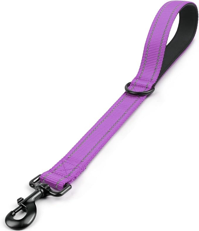 Joytale Short Dog Leash for Close Control & Training, 18", Purple | Padded Comfort Handle, Reinforced Nylon Webbing, Secure Metal Clip, for Busy Streets & Heel Training