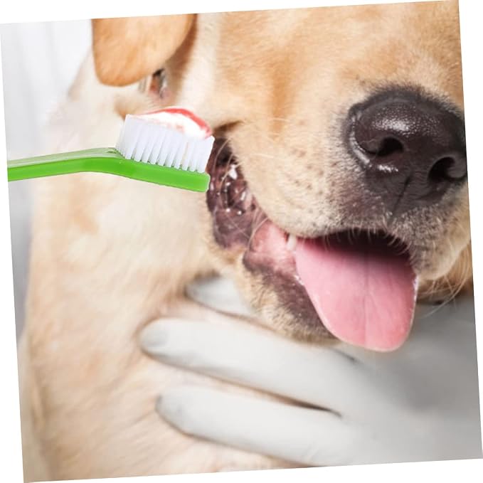 POPETPOP 12Pcs Dual Head Pet Toothbrush Handheld Dog Oral Cleaning Brushes with Soft Bristles for Gentle Care Non Slip Handle for Comfortable Use for Daily Pet