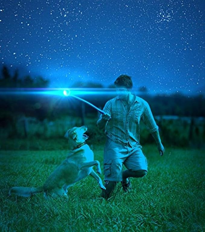 Chuckit! Max Glow Ball (2 pack)