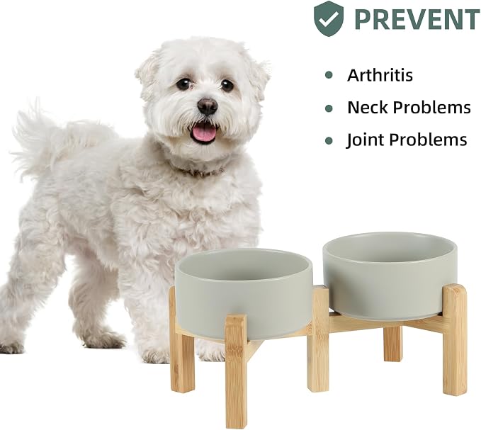 Havniva 6.1” Dog Bowls Elevated Ceramic Dog Food and Water Bowl Set, Double Raised Dog Water Bowl with Stand Non-Slip Rubber Base Two Heights Large Capacity Pet Food Bowl for Small & Medium Dogs
