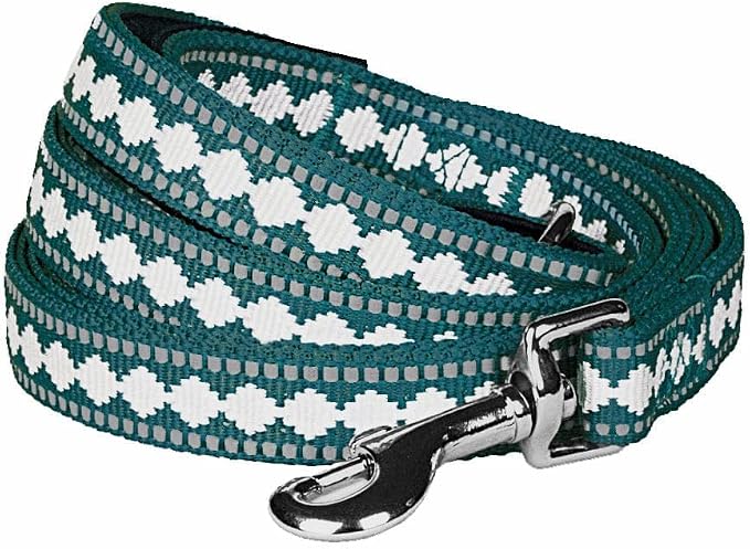 Blueberry Pet 3M Reflective Jacquard Dog Leash with Soft & Comfortable Handle, 4 ft x 1", Teal Blue, Large, Leashes for Dogs