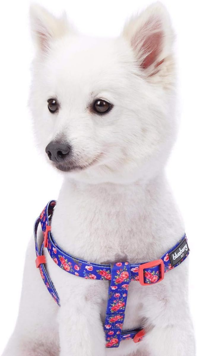 Blueberry Pet 9 Patterns Step-in Spring Scent Inspired Rose Print Irish Blue Dog Harness, Chest Girth 16.5" - 21.5", Small, Adjustable Harnesses for Dogs