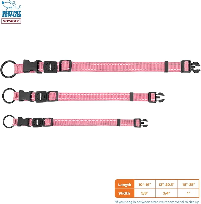Best Pet Supplies Voyager Reflective Dog Leash or Collar with Neoprene Handle, for Small, Medium, and Large Breed Puppies, Cute and Heavy Duty for Walking, Running and Training - Pink, L