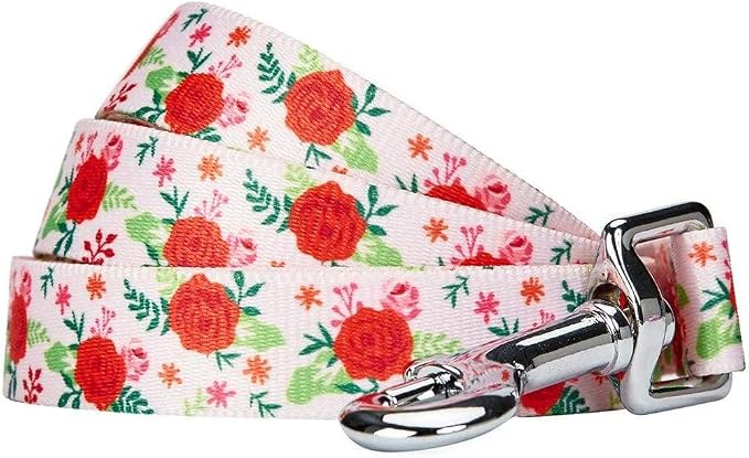 Blueberry Pet Essentials Spring Scent Inspired Garden Floral Dog Leash in Baby Pink, 5 ft x 3/4", Medium, Leashes for Dogs