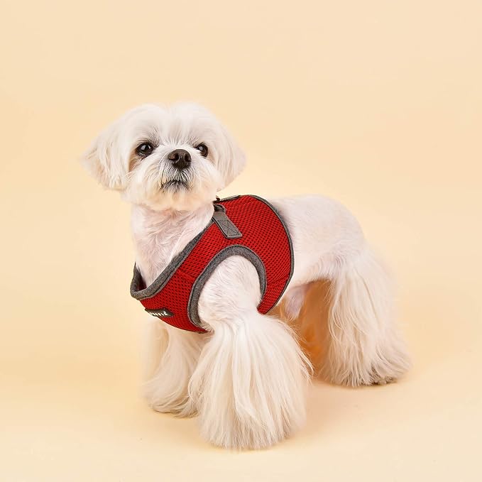 Puppia Soft Vest Harness B II - Wine - S
