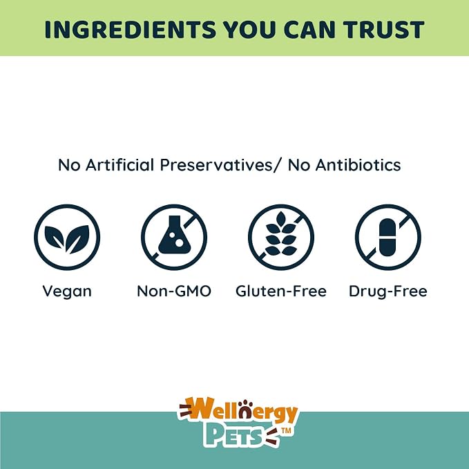 Natural Herbal Hip & Joint Supplements for Dogs & Cats – Holistic All-Natural Herb Blend Joint Supplement Aids Pets with Arthritis, Joint Stiffness, Inflammation, Cartilage Breakdown Pain Relief. 60ct