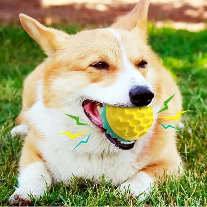Raynier Squeaky Dog Balls for Dogs, Dog Toys for Aggressive Chewers Small and Medium Breed for Relieving Anxiety, Durable Anti-Stress Dog Ball, Outdoor Dog Toys, Water Toy for Dogs