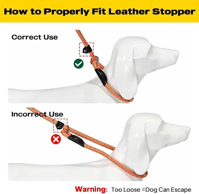 Fida Durable Slip Lead Dog Leash, 6 FT x 3/8" Heavy Duty Comfortable Strong Rope Slip Lead for Small Dogs and Puppies, No Pull Pet Training Leash with Highly Reflective (3/8", Orange)