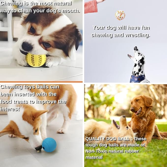 Dog Ball Toy Set 5 for Puppy and Small Dog Rubber Teething Ball, Dog Enrichment Toys Chewer for Boredom and Brain Stimulating Game to Keep Them Busy.(Blue/Yellow/Multi)