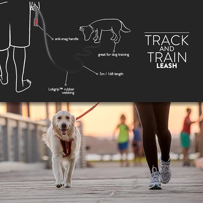 EzyDog Track and Train 16 Foot Premium Dog Leash - Red | Ultra Grippy rubber Lokgrip Webbing, Anti-Snag Handle, 16-Feet Extra Long Dog Lead, Traffic Control Handle