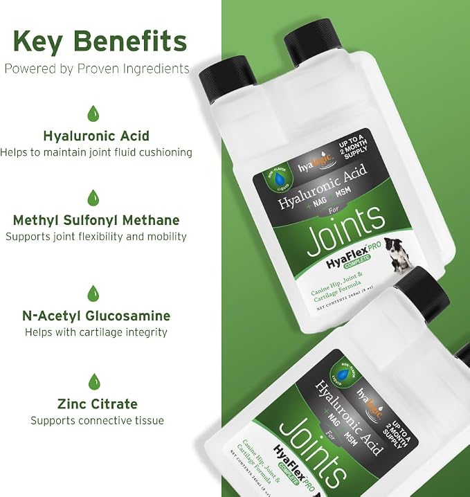 Hyalogic HyaFlex PRO - Hyaluronic Acid Joint Supplement for Dogs, 240ml