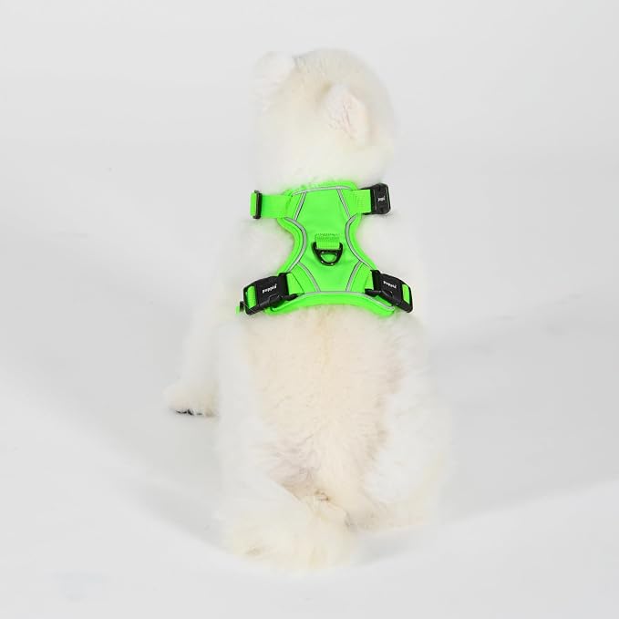 Puppia Neon Dog Harness H Sturdy Adjustable Neck and Chest Reflective Front and Back D-Ring for Small and Medium Dogs, Green, Large