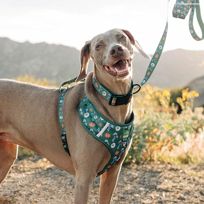 Lucy & Co. x Parks Project Power to the Parks No-Pull Dog Harness, Adjustable Front Clip Harness with Comfort Padding, X-Small