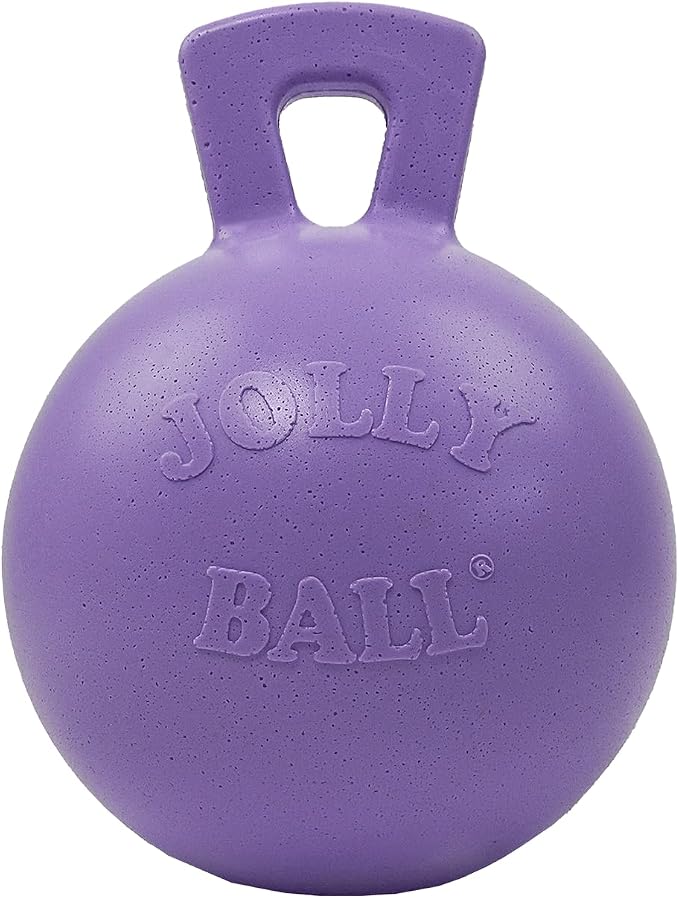 Jolly Pets Tug-n-Toss Heavy Duty Dog Toy Ball with Handle, 4.5 Inches/Small, Light Purple