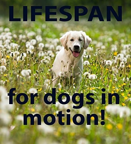 LifeSpan Advanced Liquid Glucosamine, MSM & Chondroitin for Dogs