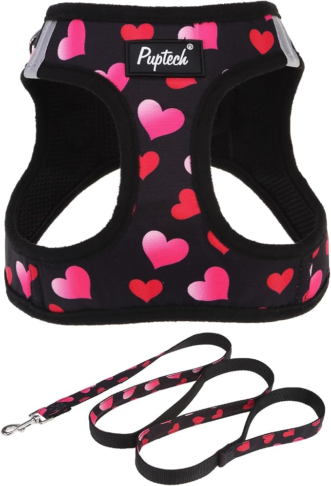 PUPTECK Dog Harness and Leash Set for Small Medium Dogs No Pull Step-in Soft Mesh Puppy Cat Vest Valentine Harnesses Reflective at Night, Black&Pink Heart, XS
