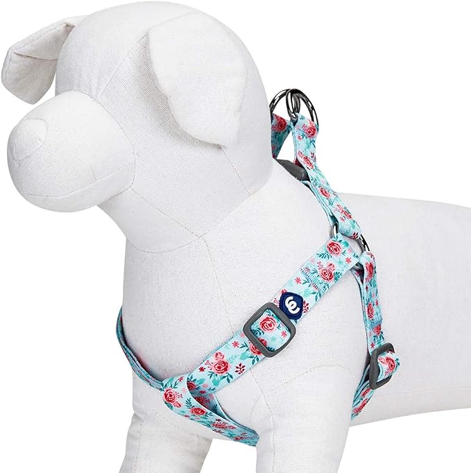 Blueberry Pet Essentials Step-in Spring Scent Inspired Garden Floral Dog Harness in Pastel Blue, Chest Girth 20" - 26", Medium, Adjustable Harnesses for Dogs