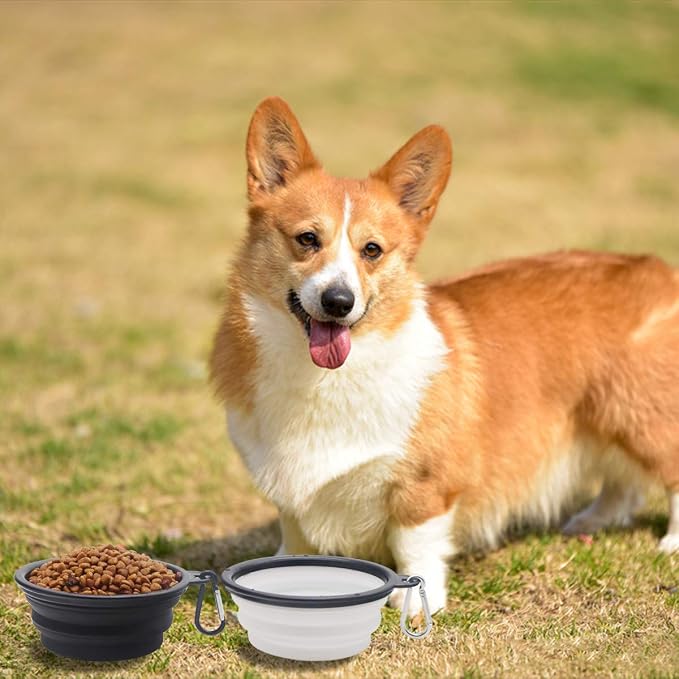 Collapsible Dog Bowl, 2 Pack, with Lids, Black+White, Small