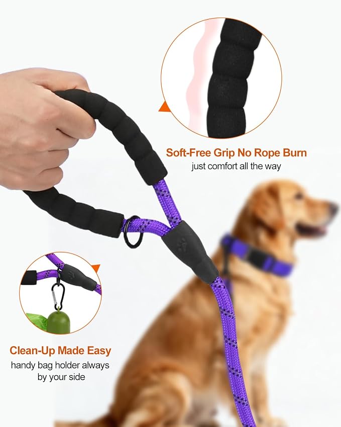 Joytale Rope Dog Leash for Medium Large Dogs, Padded Handle, 5FT, Purple | Reinforced Nylon Webbing, Comfort Grip Eases Hand Strain, Swivel Clip Prevents Tangles, Visible at Night, for Outdoor Walks