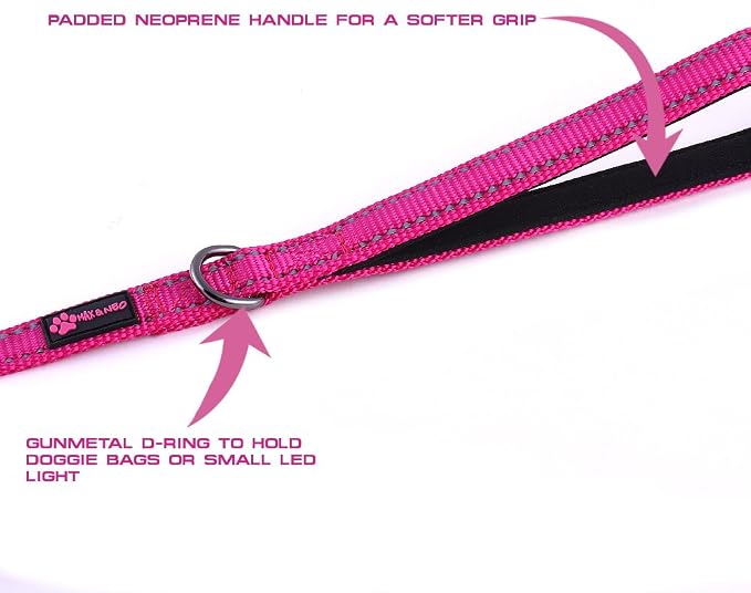 Max and Neo Small Dog Reflective Nylon Leash - Every Purchase Donates One, 4x5/8" (Blue)