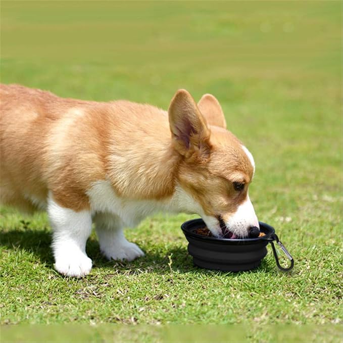 Dog Bowl Collapsible, 2 Pack, Portable & Foldable, Small, Black+White