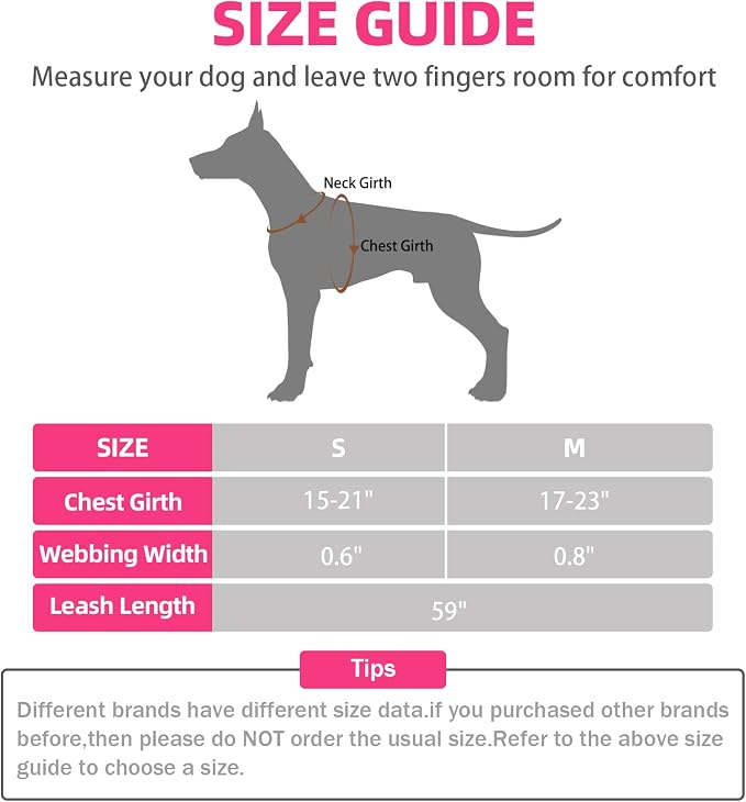 PUPTECK No Pull Dog Harness Medium Sized Step-in Adjustable Puppy Vest | Soft Webbing Basic Halter with Leash for Outdoor Walking