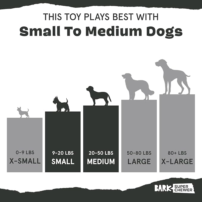 BarkBox Pine Cone Dog Toy | Natural Rubber, Treat Dispensing, Durable & Wacky Bounce | Dog Toy for Aggressive Chewers