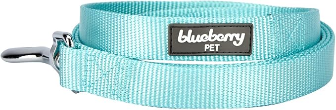 Blueberry Pet Essentials Mint Blue Dog Leash for Medium - 5' * 3/4" Dogs | Heavy Duty Nylon Lead | Lightweight Puppy & Cat Leash for Walking & Training