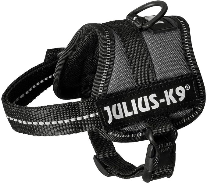 K9 Powerharness, Size: Baby 1, Anthrazit