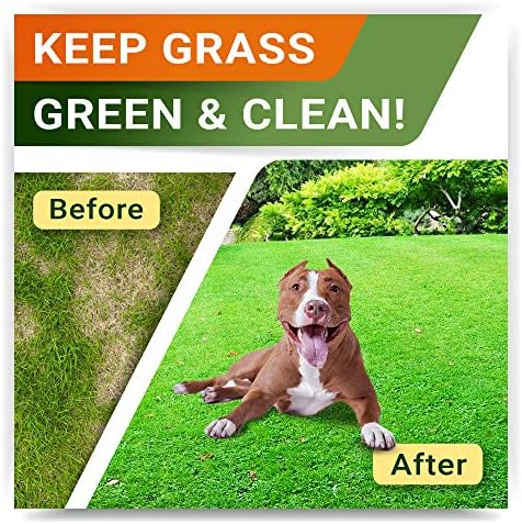 StrellaLab Grass Restore Treats for Dogs - Dog Pee Lawn Repair Chew Probiotics + Digestive Enzymes, Cranberry - Dog Urine Neutralizer for Grass Burn Spots - Health & Wellness Supplements for Dog