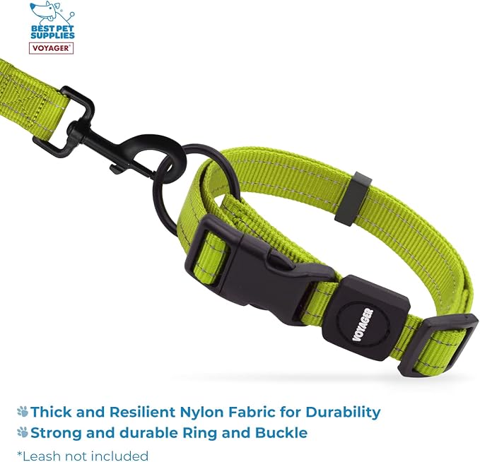 Best Pet Supplies Voyager Reflective Dog Leash or Collar with Neoprene Handle, for Small, Medium, and Large Breed Puppies, Cute and Heavy Duty for Walking, Running and Training - Lime Green, S