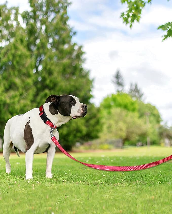 Joytale Red Striped 5FT Dog Leash and Collar with Reflective Threads, Nylon Dog Collars and Leashes for Small Dogs