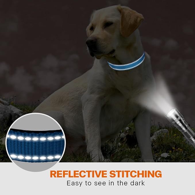 Taglory 18"-28" Length, 1 1/4" Wide Dog Collar and Leash Set, 1/2" x 6 FT Highly Reflective Threads Dog Leash for Large Dogs,SkyBlue
