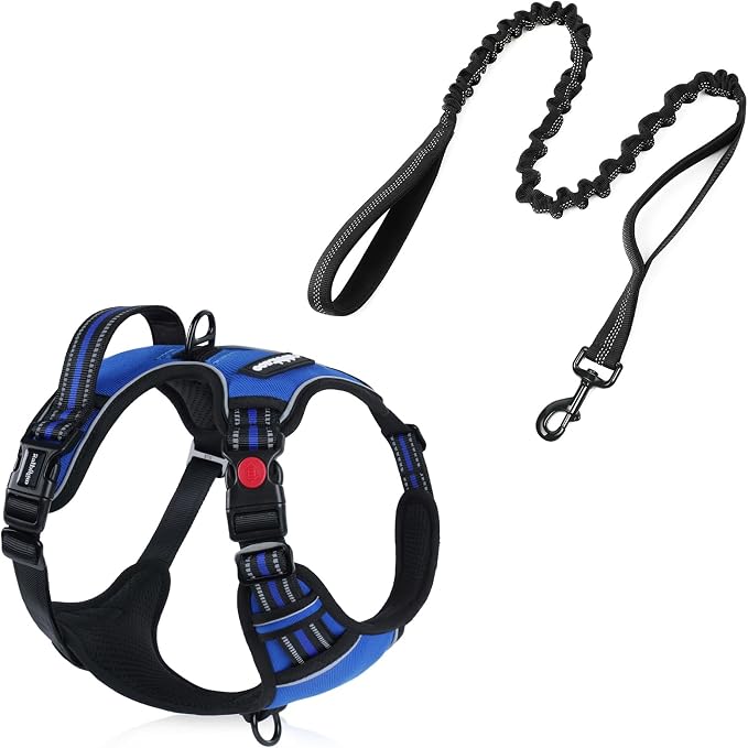 rabbitgoo Dog Harness - No Pull Pet Harness with 3 Buckles, Tactical Bungee Dog Leash with Shock Absorption, Blue, L