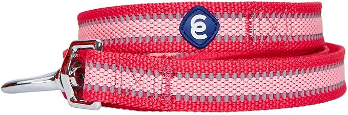 Blueberry Pet Essentials Reflective Better Basics Dog Leash, French Pink, 5 ft x 5/8", Small, Leashes for Dogs