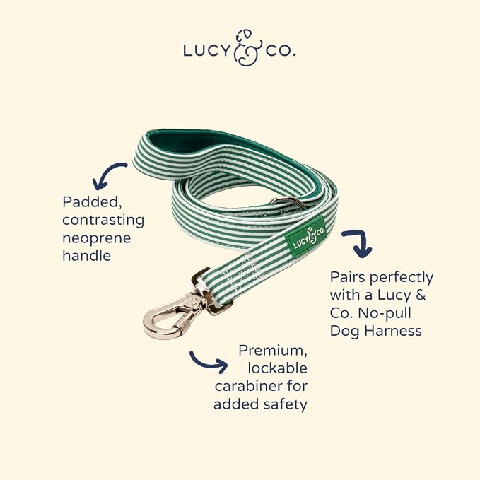 Lucy & Co. Tomato, Tomahto Dog Leash, Durable Matching Dog Lead with Heavy Duty Hardware, Small