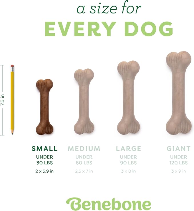 Benebone Bone Dog Chew Toy for Aggressive Chewers, Real Bacon, Small | Durable, Super Chewer, Made in USA, Dog Bones, Long-Lasting, A Size for Every Dog, Keeps Them Busy