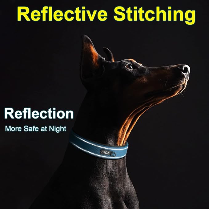 Fida Heavy Duty Dog Collar for Medium Dogs with Metal Belt Buckle, Blue | Soft Neoprene Padded for Extra Comfort, Thicker Nylon Webbing, Adjustable Fit, Reflective Stitching for Night Safety
