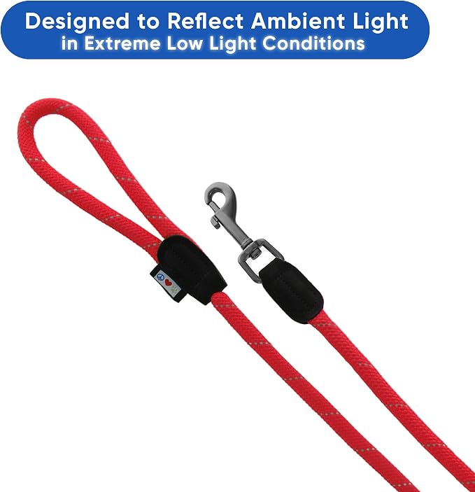 Pawtitas Double Leash for Two Dogs Great for Walking & Training Comfortable Shock Absorbing Reflective Pet Rope Leash for 2 Dogs 6ft - Medium/Large - Red